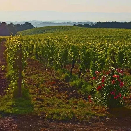 In Tuscany With Pool And Scenic Views * Casole dʼElsa