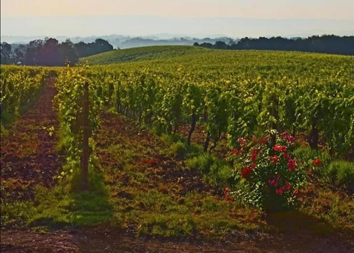 In Tuscany With Pool And Scenic Views * Casole dʼElsa